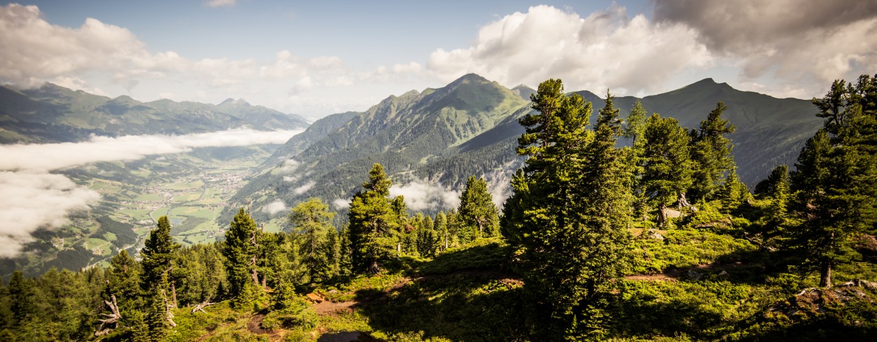 Schönheit Natur Salzburger Land