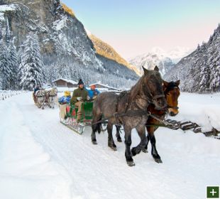 Mit dem Pferdeschlitten durch ein Winterwunderland